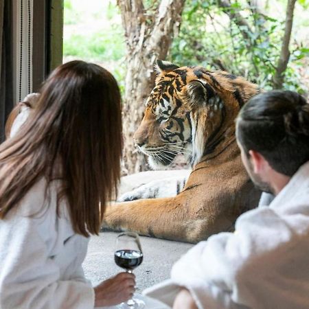 Big Cat Bungalows At The Haven - Lion 2 Canastota Dış mekan fotoğraf