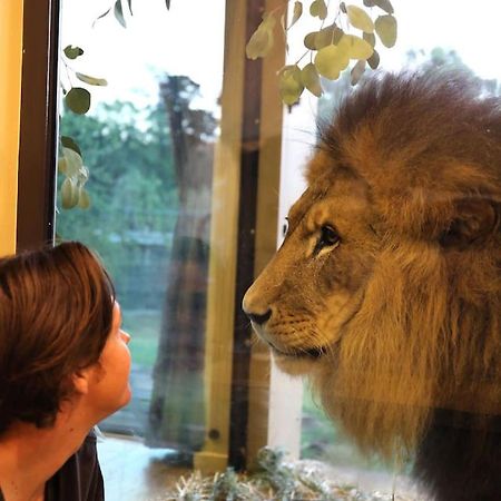 Big Cat Bungalows At The Haven - Lion 2 Canastota Dış mekan fotoğraf