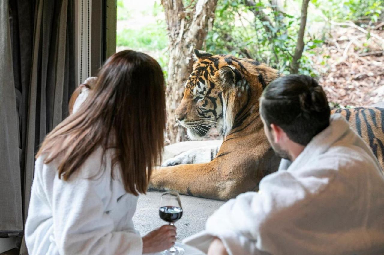 Big Cat Bungalows At The Haven - Lion 2 Canastota Dış mekan fotoğraf